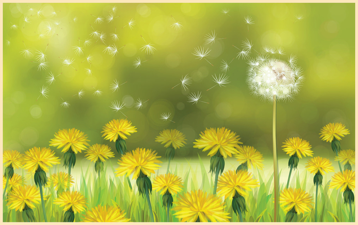 3 (700x440, 376Kb)