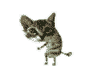 ги кошка пляшет (90x78, 39Kb)
