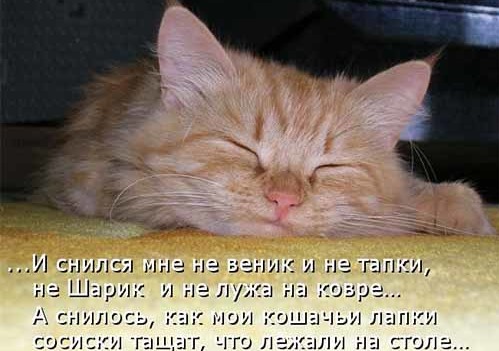 4743317_i20925 (499x351, 52Kb)