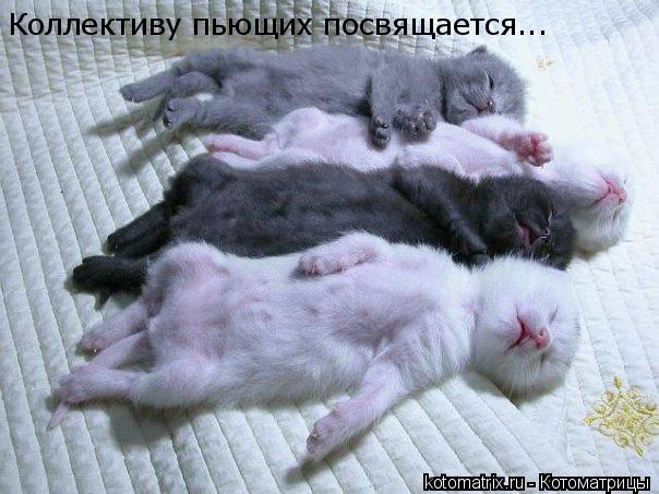 https://img1.liveinternet.ru/images/attach/d/4/163/710/163710881_4743317_TX.jpg