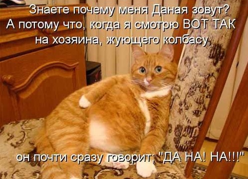 4743317_i20923 (497x358, 71Kb)