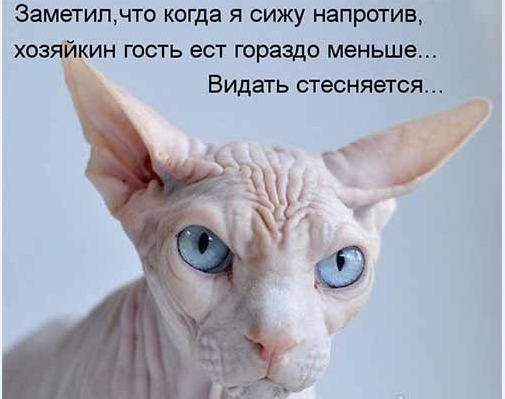 4743317_i20922 (505x399, 43Kb)