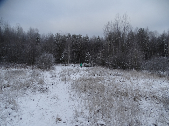 DSC00075 (700x525, 365Kb)