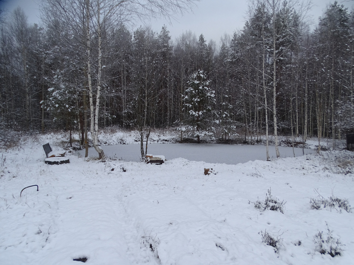 DSC00079 (700x525, 377Kb)