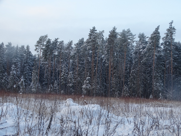 DSC00012 (700x525, 418Kb)