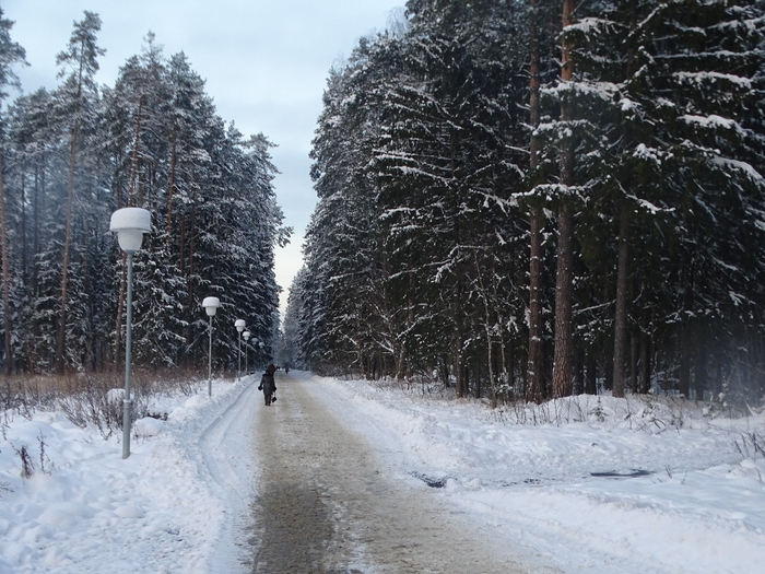 DSC00013 (700x525, 431Kb)