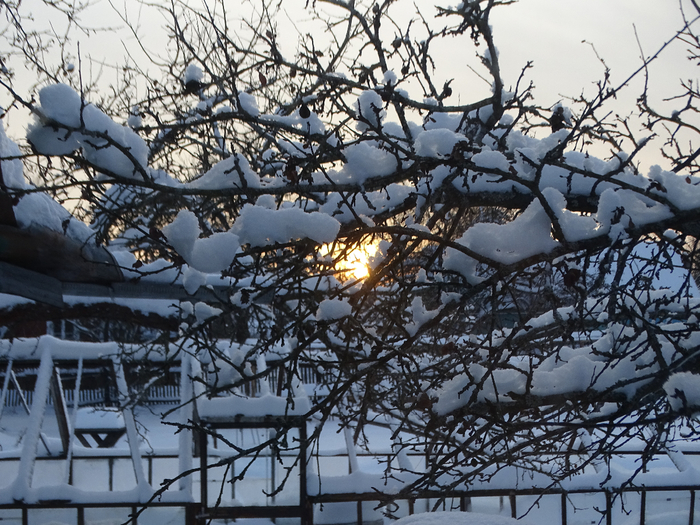 DSC00064 (700x525, 524Kb)