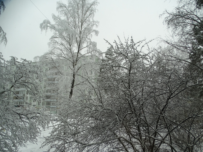 DSC00067 (700x525, 455Kb)