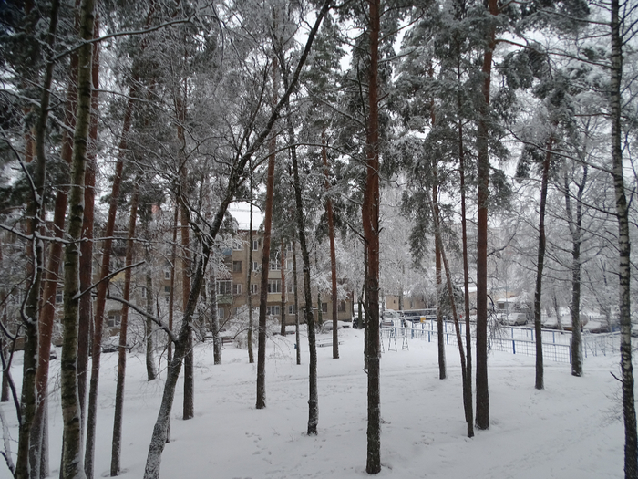 DSC00072 (700x525, 456Kb)