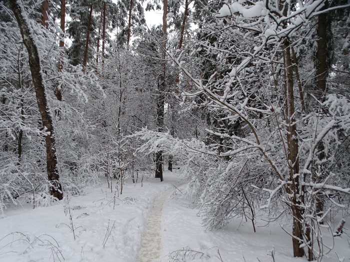 DSC00132 (700x525, 496Kb)