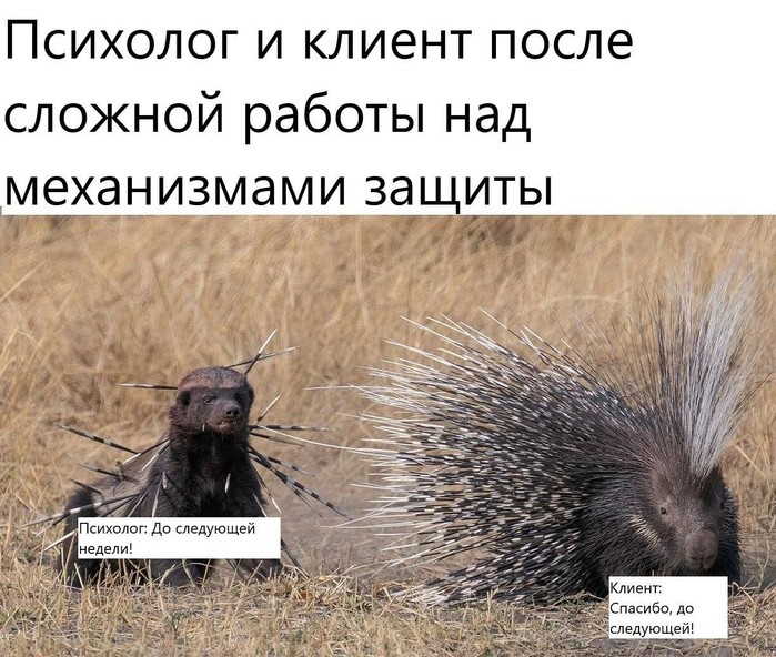 1e7f8b4a-227f-4b71-a9e5-26f2d1e4372a (700x592, 143Kb)