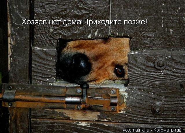 4743317_RF (640x463, 68Kb)