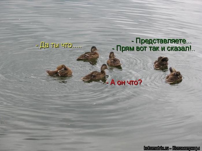 4743317_Ea (700x524, 45Kb)