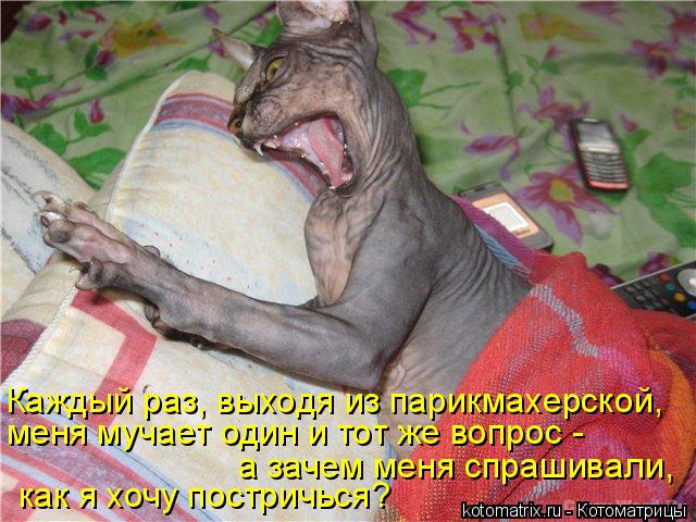 4743317_F (640x480, 73Kb)