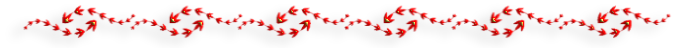 -3-6 (700x48, 30Kb)