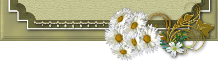 20 (700x195, 181Kb)