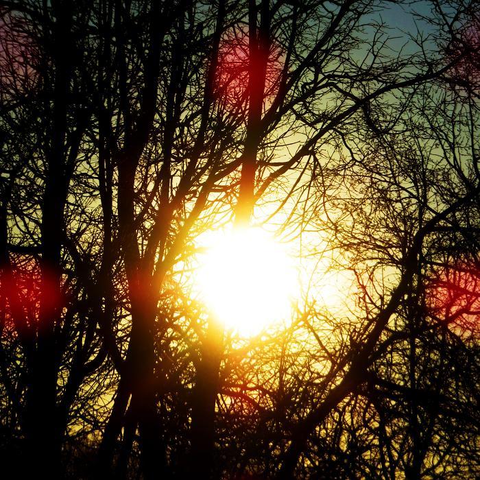 0 (700x700, 156Kb)
