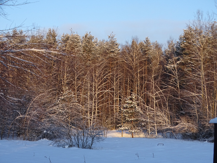 DSC00036 (700x525, 500Kb)