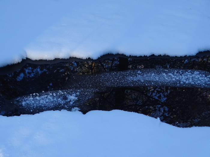 DSC00102 (700x525, 336Kb)