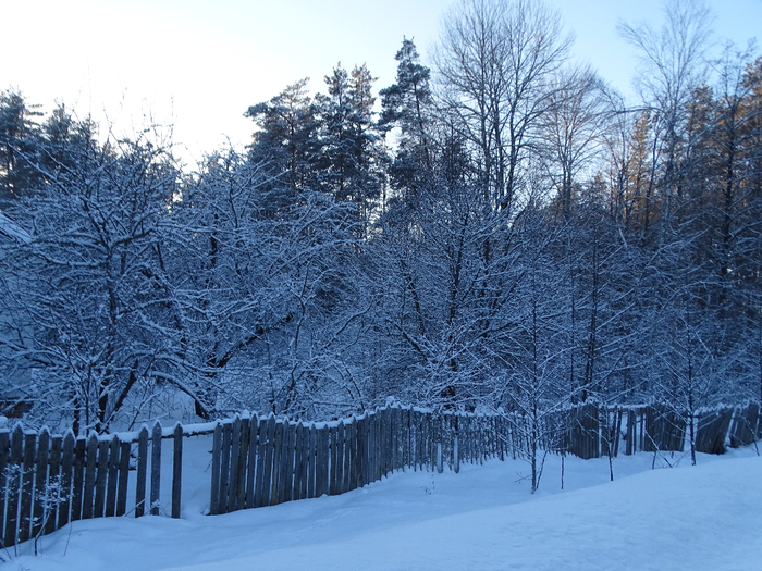 DSC00147 (700x525, 514Kb)