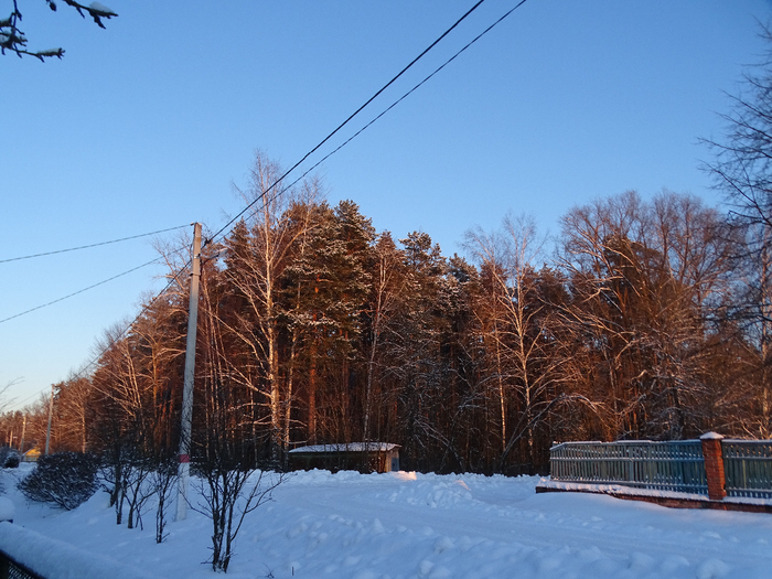 DSC00164 (700x525, 443Kb)