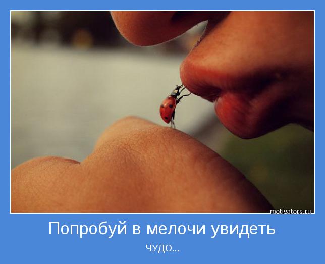 https://img1.liveinternet.ru/images/attach/d/4/163/774/163774849_4743317_motivator10889.jpg