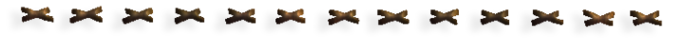 -1 (700x38, 21Kb)