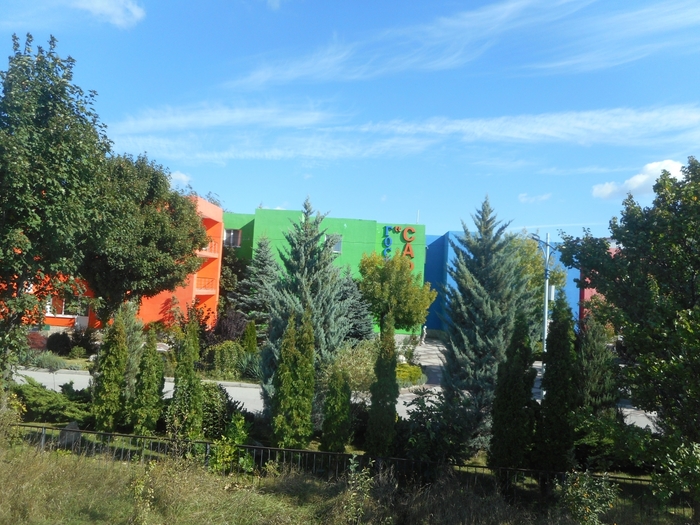 4752699_ttDSCN0003 (700x525, 318Kb)