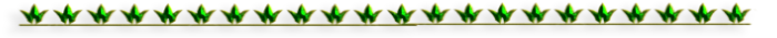 -11 (700x35, 36Kb)