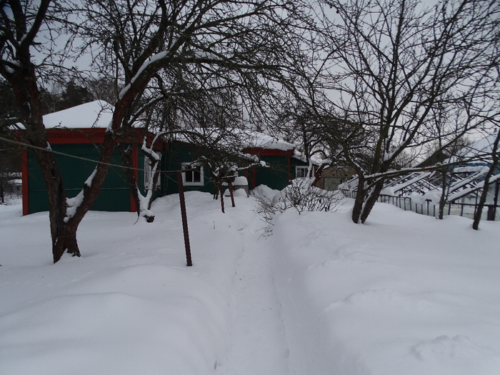DSC00062 (700x525, 422Kb)
