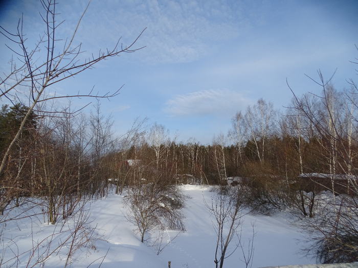 DSC00107 (700x525, 411Kb)