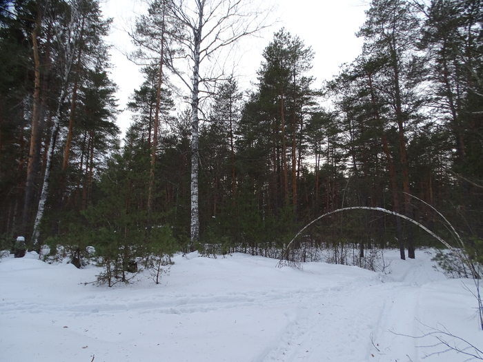 DSC00124 (700x525, 429Kb)