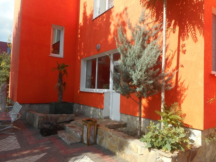 4752699_ttDSCN0725 (700x525, 300Kb)