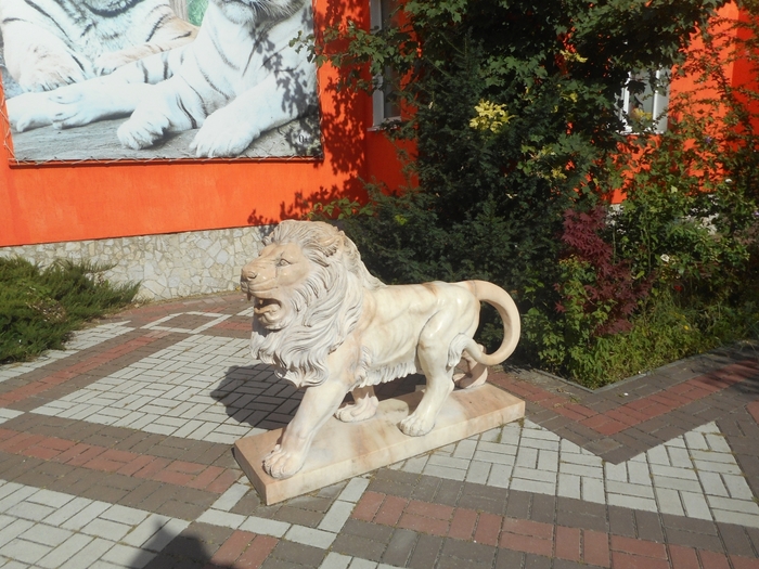 4752699_ttDSCN0733 (700x525, 323Kb)