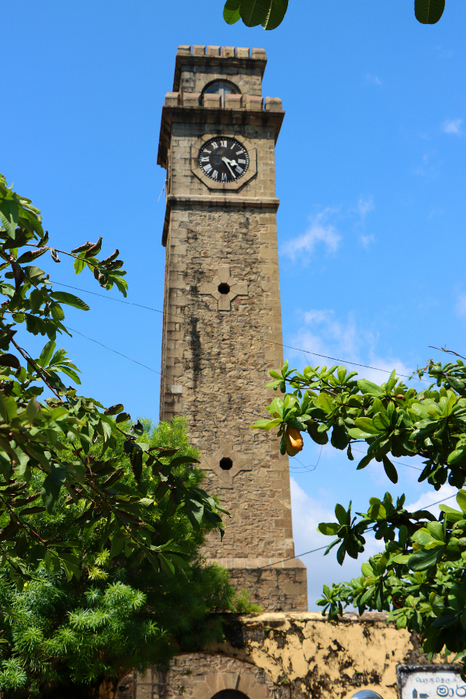 IMG_2083 (466x700, 519Kb)
