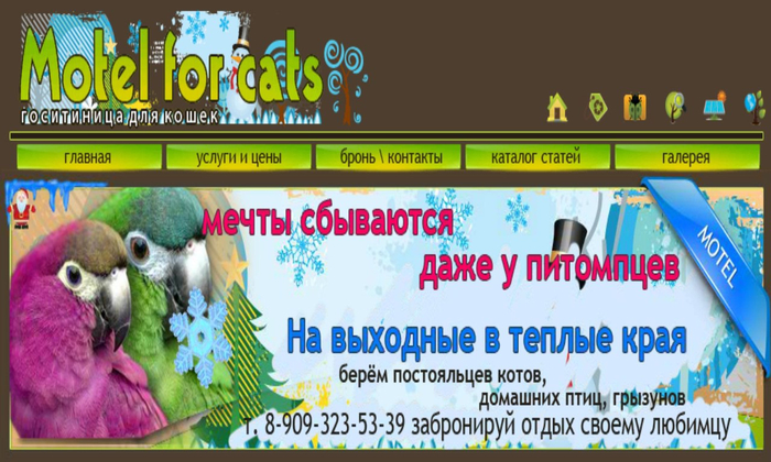 Гостиница для кошек в Самаре Motelforcats первая специализированная гостиница для кошек в Самаре  (18) (700x420, 353Kb)