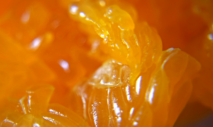 4 (700x417, 317Kb)