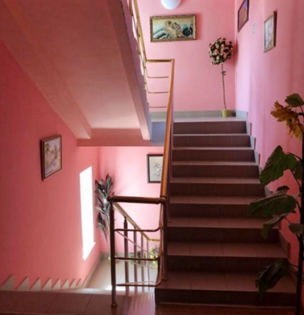 4752699_DSCF6434a (600x621, 74Kb)