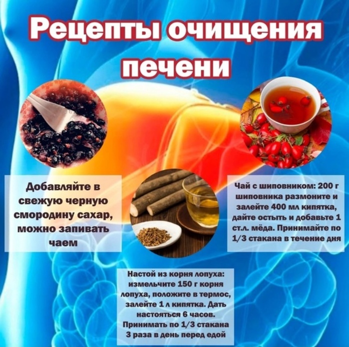 2835299_3_lychshih_sposoba_ochistki_krovi_i_pecheni_ot_gryazi_i_shlakov (700x695, 164Kb)