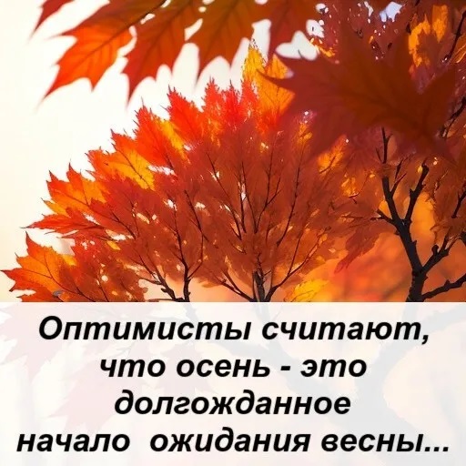 https://img1.liveinternet.ru/images/attach/d/4/163/82/163082577_4743317_i_1_webp87.jpg