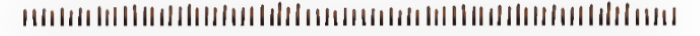 24248825-1 (700x36, 26Kb)
