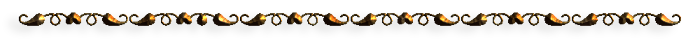 24886657-2 (700x44, 26Kb)