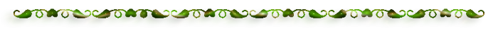 24886657-2 (700x44, 45Kb)