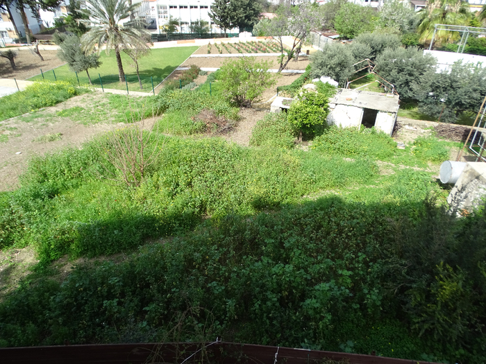 DSC00003 (700x525, 555Kb)