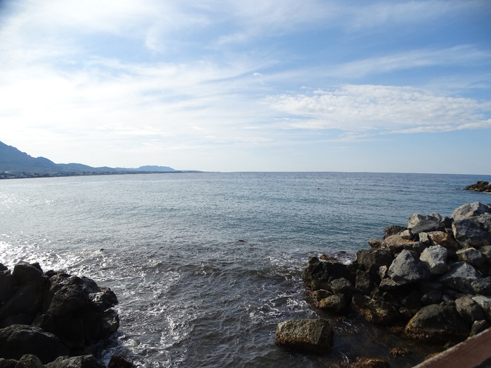DSC00149 (700x525, 354Kb)