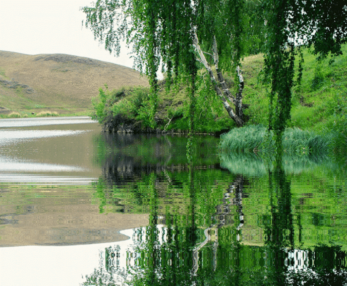 image (700x577, 1033Kb)