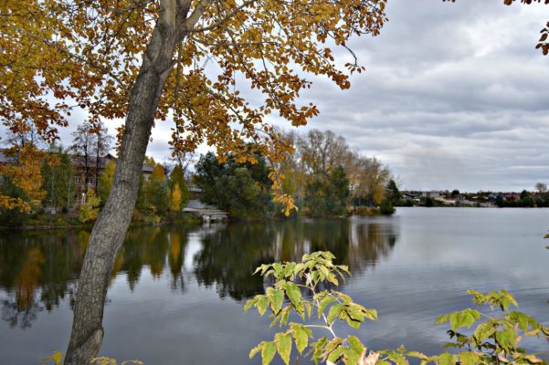 4397599_imageQG50JC8U601x400 (601x400, 60Kb)