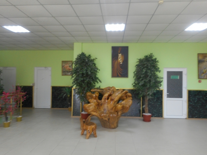 4752699_ttDSCN0325 (700x525, 203Kb)