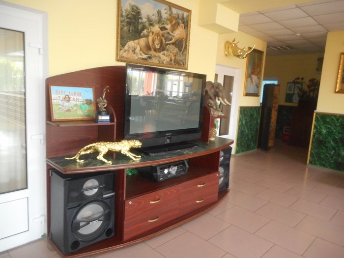 4752699_ttDSCN0331 (700x525, 238Kb)