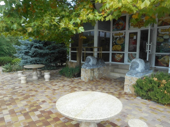 4752699_ttDSCN0204 (700x525, 316Kb)